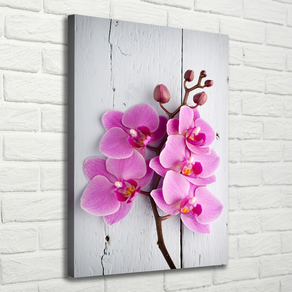 Canvas wall art Pink orchid