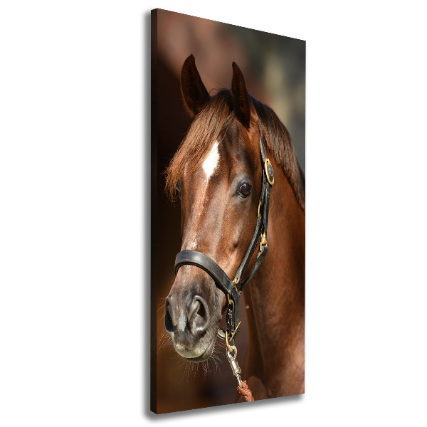 Canvas wall art Portrait of a horse