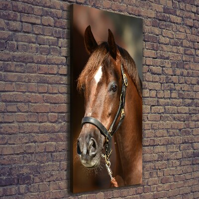 Canvas wall art Portrait of a horse