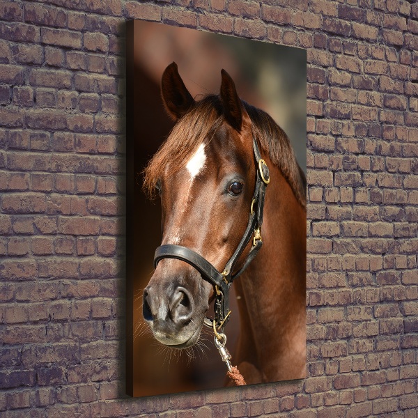 Canvas wall art Portrait of a horse