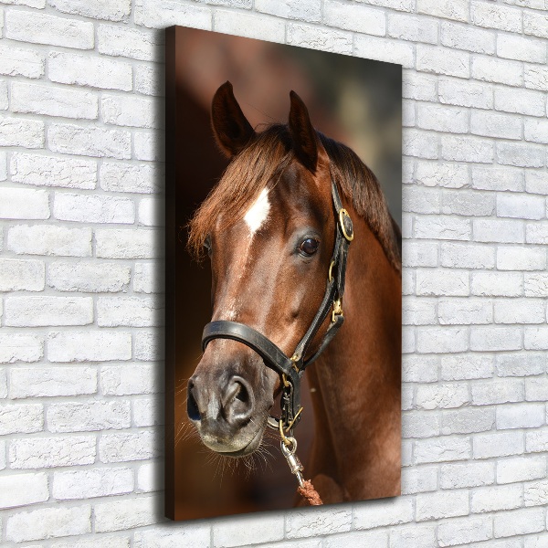 Canvas wall art Portrait of a horse