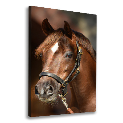 Canvas wall art Portrait of a horse