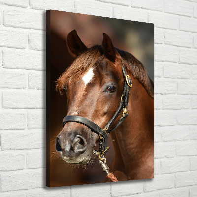 Canvas wall art Portrait of a horse