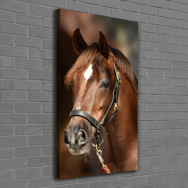 Canvas wall art Portrait of a horse