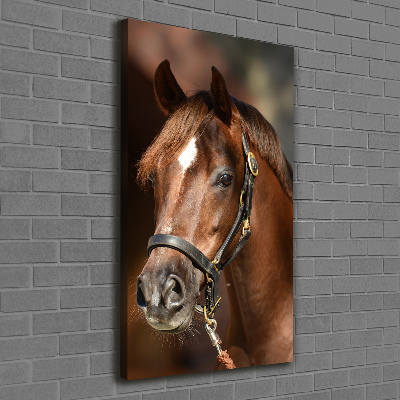 Canvas wall art Portrait of a horse