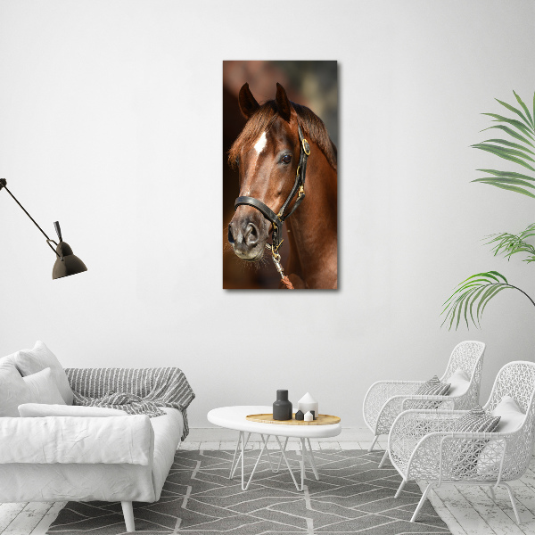 Canvas wall art Portrait of a horse