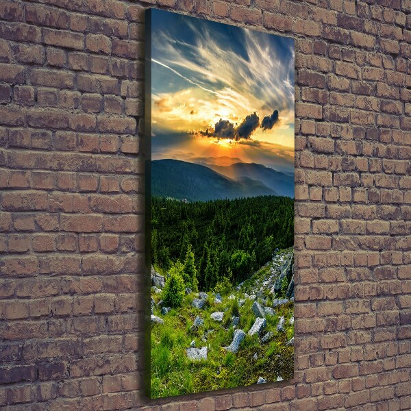 Large canvas wall art Panorama of the mountains