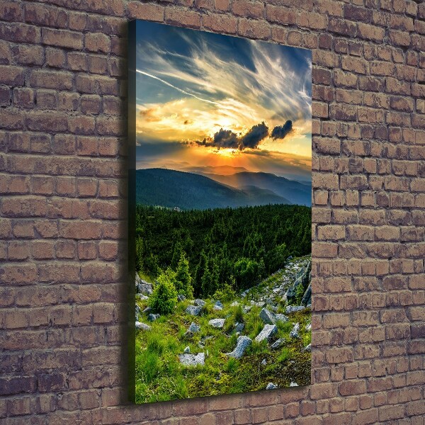 Large canvas wall art Panorama of the mountains