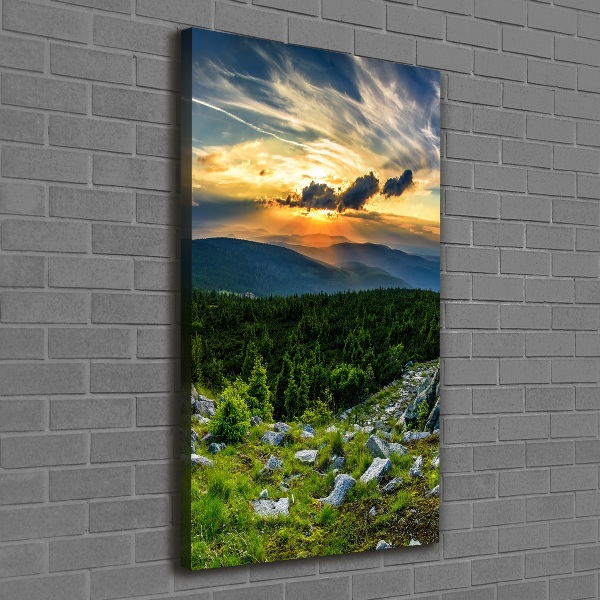 Large canvas wall art Panorama of the mountains