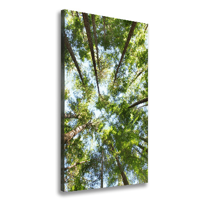 Large canvas wall art Crown of trees