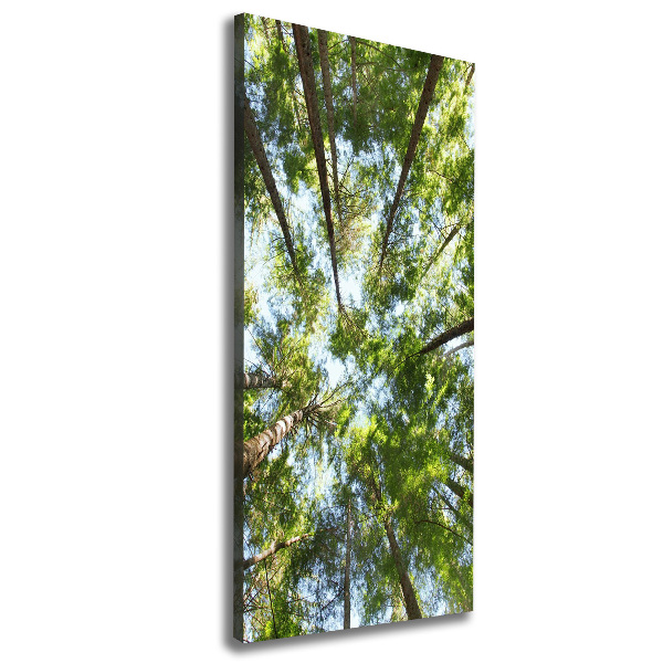 Large canvas wall art Crown of trees