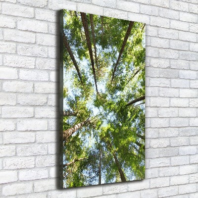 Large canvas wall art Crown of trees