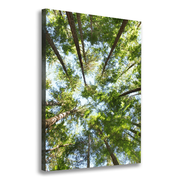 Large canvas wall art Crown of trees