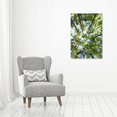 Large canvas wall art Crown of trees