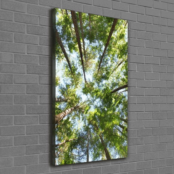 Large canvas wall art Crown of trees