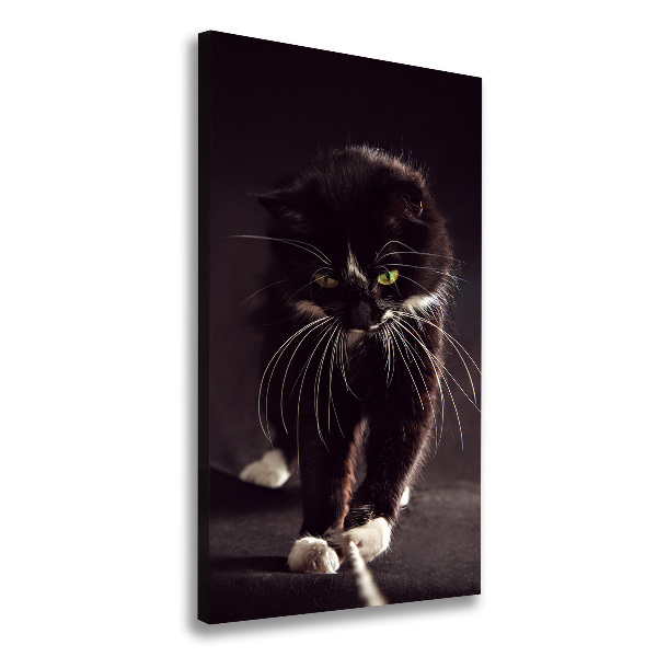 Large canvas wall art Black cat