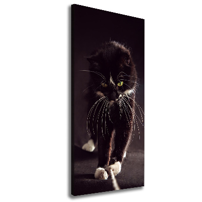 Large canvas wall art Black cat