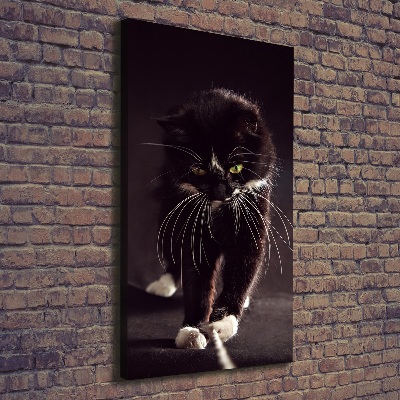 Large canvas wall art Black cat