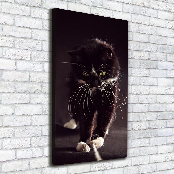 Large canvas wall art Black cat