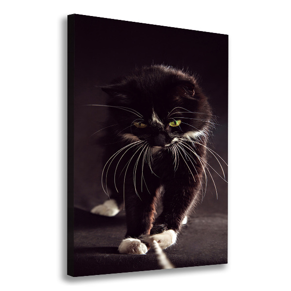 Large canvas wall art Black cat