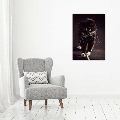 Large canvas wall art Black cat