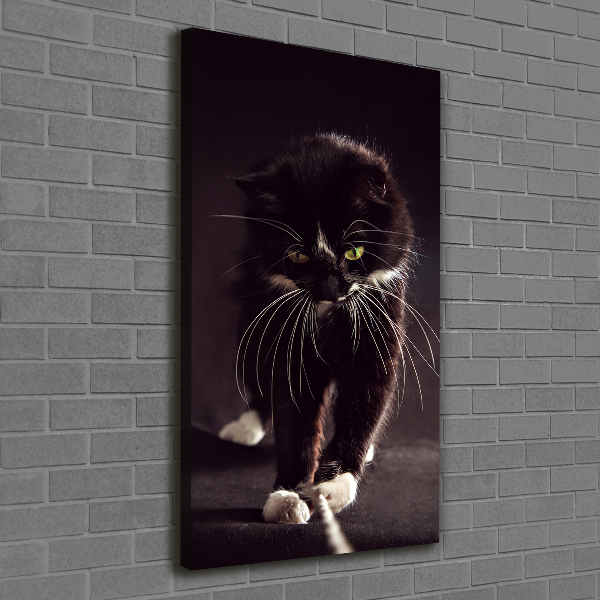 Large canvas wall art Black cat