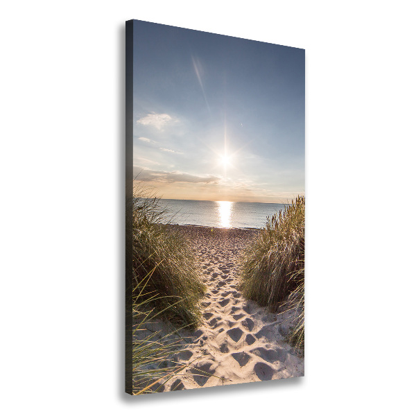 Wall art canvas large Coastal dunes