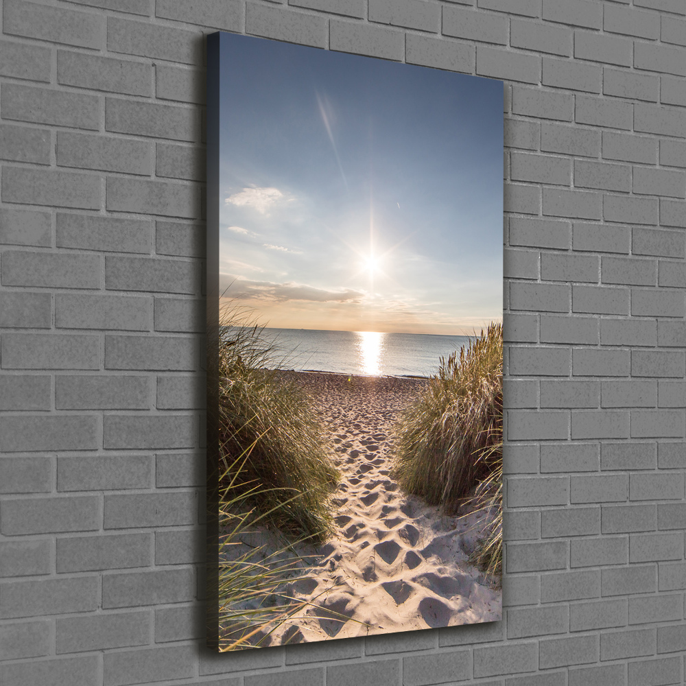 Wall art canvas large Coastal dunes