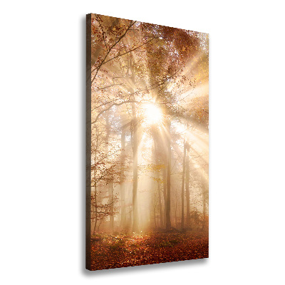 Canvas print Forest in autumn