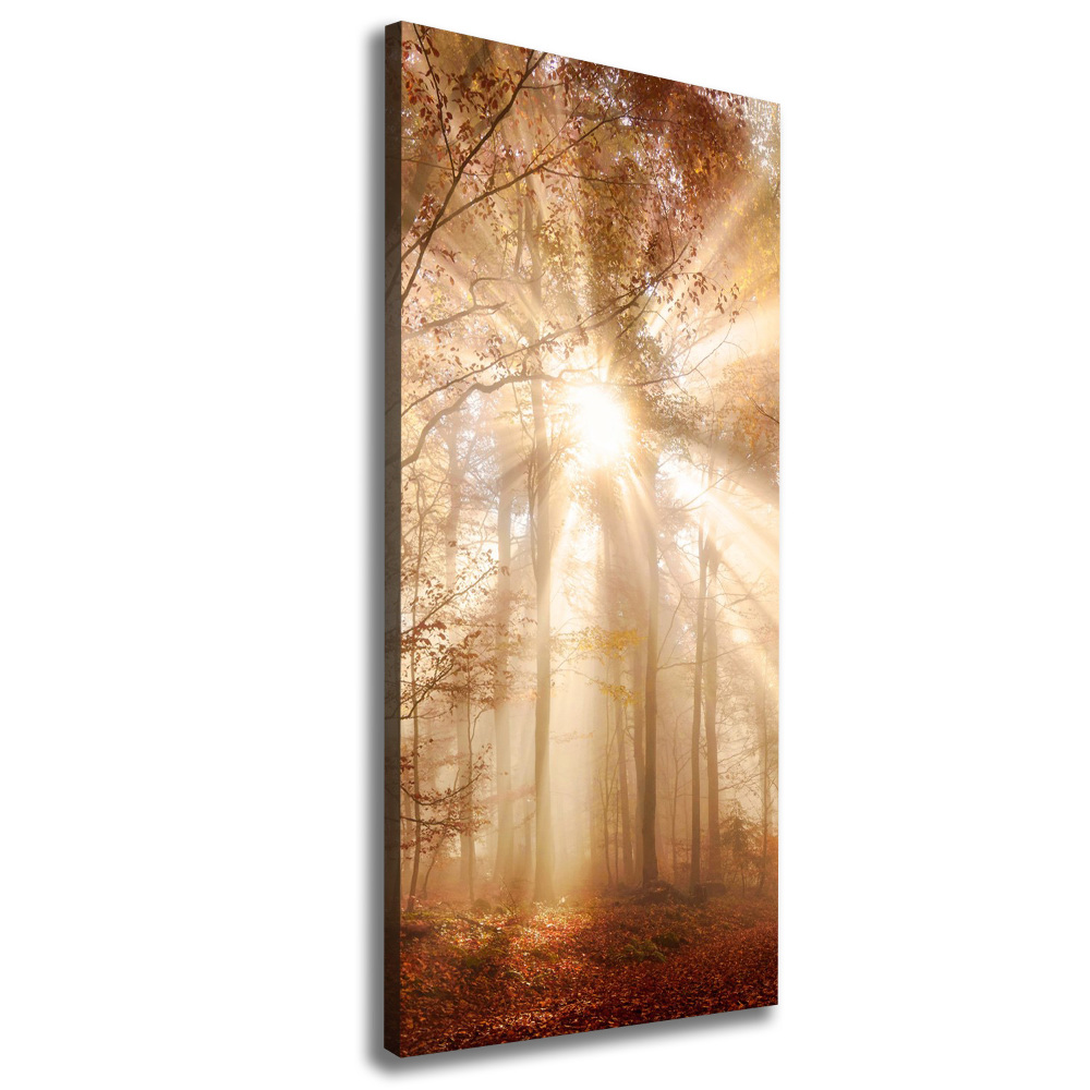 Canvas print Forest in autumn