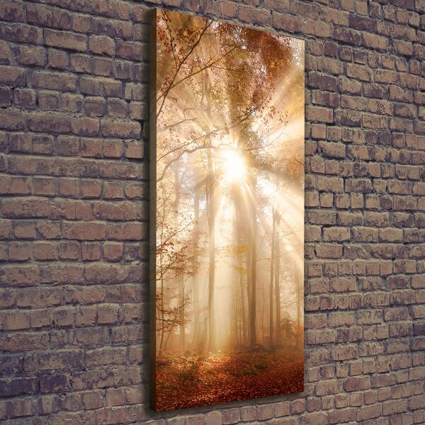 Canvas print Forest in autumn