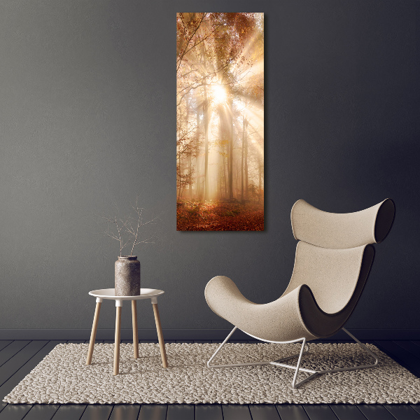 Canvas print Forest in autumn