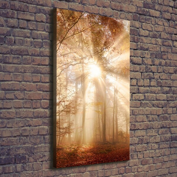 Canvas print Forest in autumn