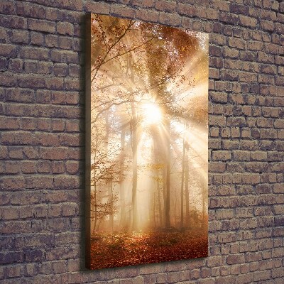 Canvas print Forest in autumn