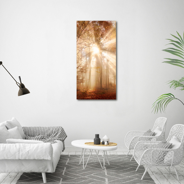 Canvas print Forest in autumn