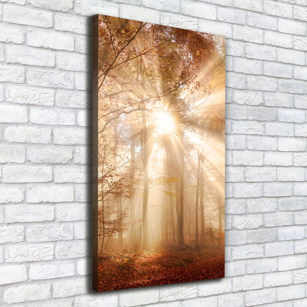 Canvas print Forest in autumn