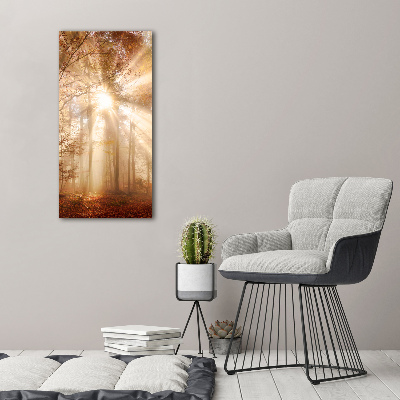 Canvas print Forest in autumn