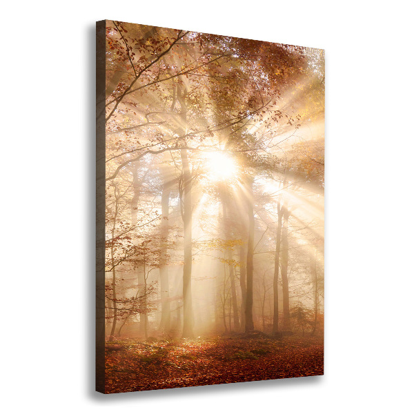 Canvas print Forest in autumn