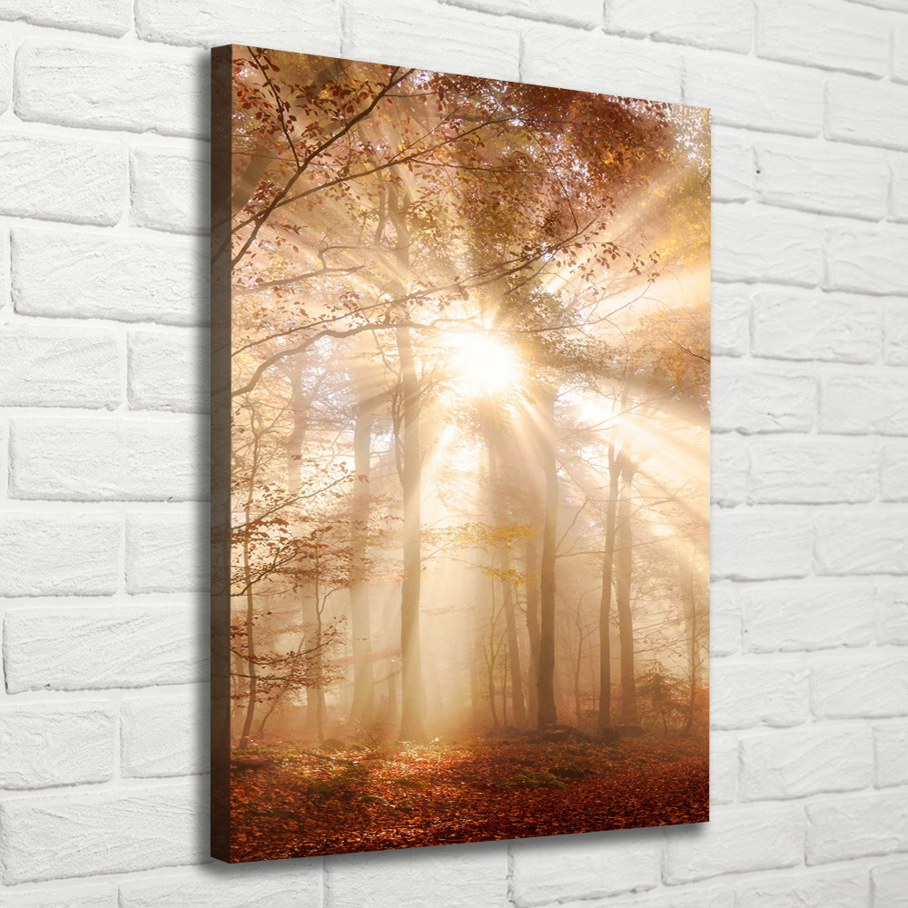 Canvas print Forest in autumn