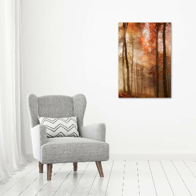 Canvas print Forest in autumn