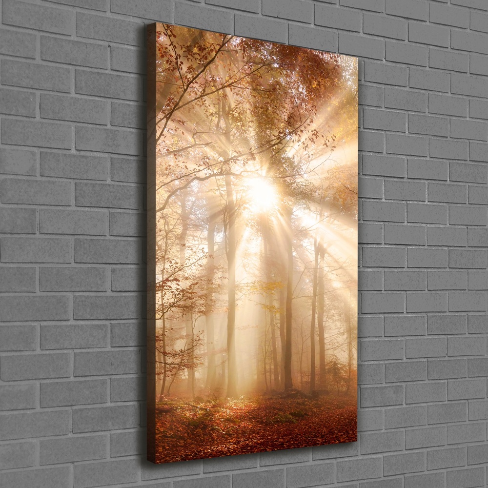 Canvas print Forest in autumn