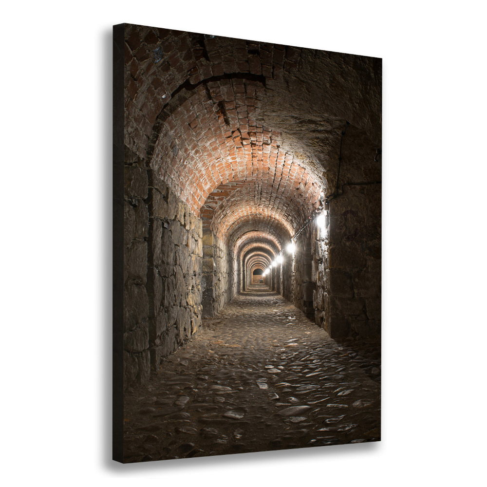 Canvas wall art Basements