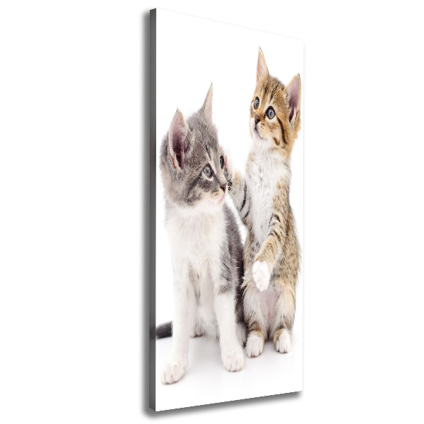 Large canvas wall art Two little cats