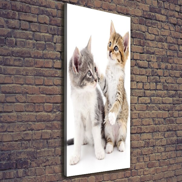 Large canvas wall art Two little cats