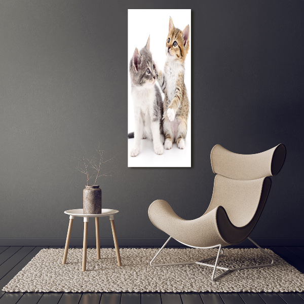 Large canvas wall art Two little cats