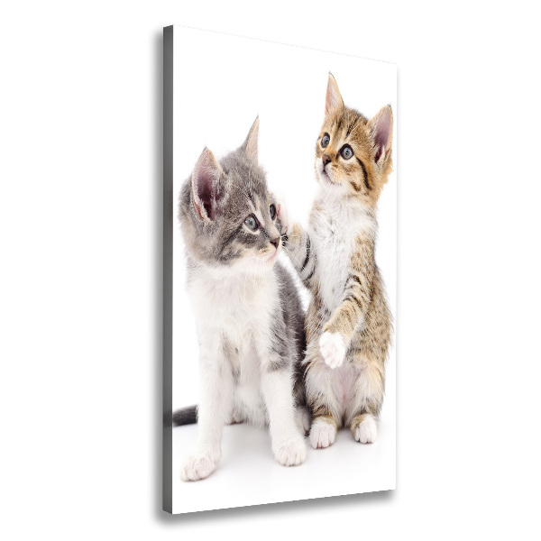 Large canvas wall art Two little cats