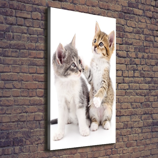 Large canvas wall art Two little cats