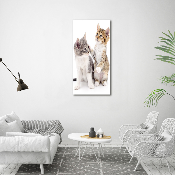 Large canvas wall art Two little cats