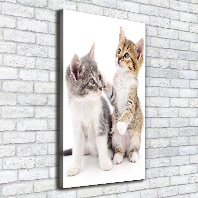 Large canvas wall art Two little cats