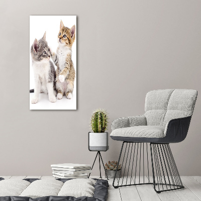 Large canvas wall art Two little cats